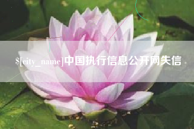 单县中国执行信息公开网失信