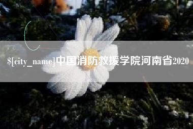 单县中国消防救援学院河南省2020
